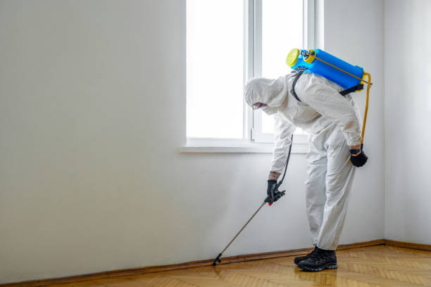 Best Pest Control for Multi-Family Homes  in Hebron, MD